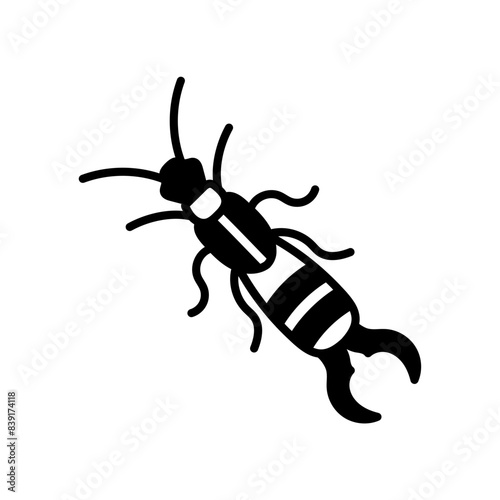 Earwig Glyph Icon, Vector illustration