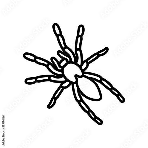 Tarantula Outline Icon, Vector illustration