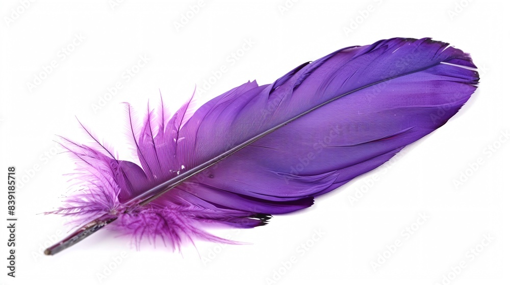 Feather purple white background lightweight. Feather purple white background lightweight.