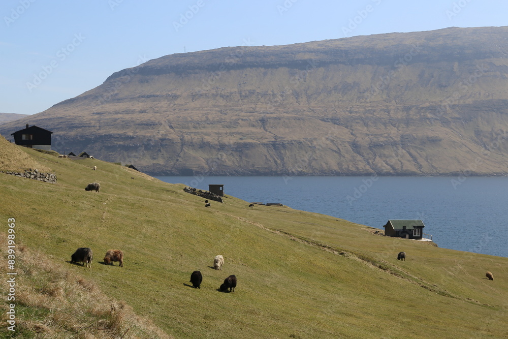 Obraz premium Landscapes of hills and roads in the Faroe Islands