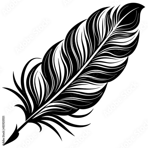 bird feather vector silhouette illustration