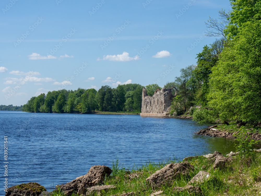Ruins of an old castle on the river bank. Latvia, Koknese castle. A trip through Europe. Cities of the Hanseatic League Ruins of an old castle on the river bank. Latvia, Koknese castle. A trip through Europe. Cities of the Hanseatic League
