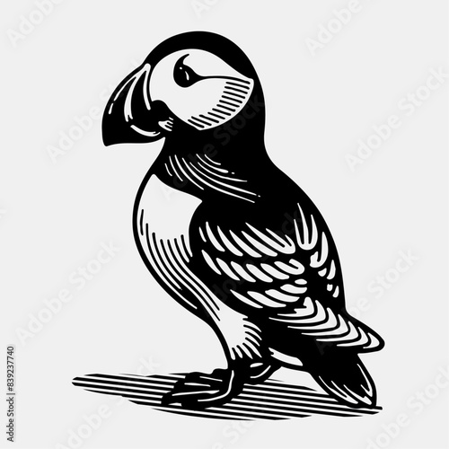 puffin bird line art vector illustration black and white. perfect for lino cut print or wood cut print