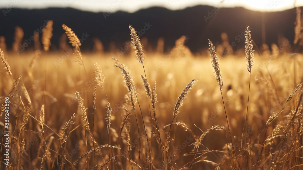 Golden Fields: Bunch of Dry Grass Set Against Glowing Bokeh Backdrop, Generative AI Golden Fields: Bunch of Dry Grass Set Against Glowing Bokeh Backdrop, Generative AI