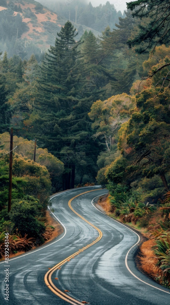 The image shows a long and winding road through a lush green forest. The image shows a long and winding road through a lush green forest.