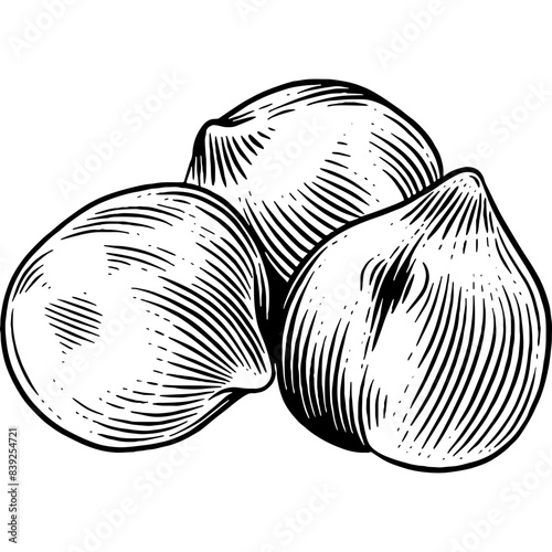 Hand drawn Chickpeas Sketch Illustration