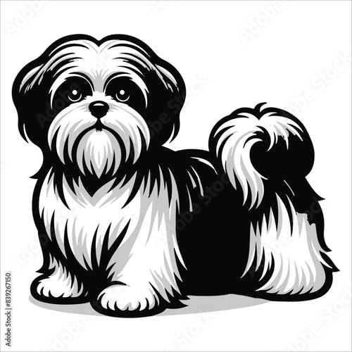 Vászonkép Shih Tzu dog, vector illustration, silhouette