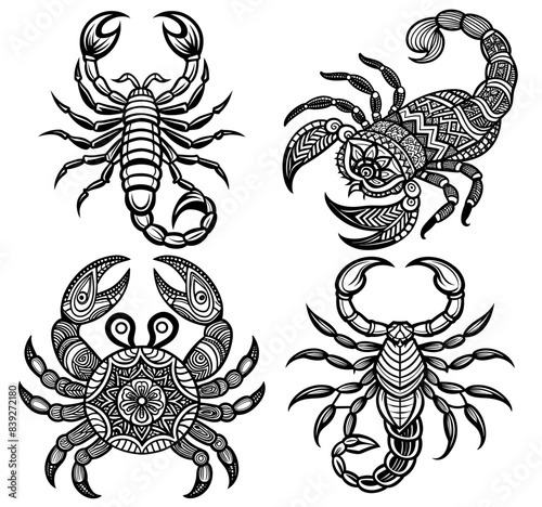 Line art scorpion anti stress adult coloring page illustration