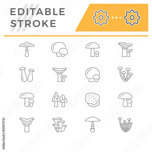 Set line icons of mushroom
