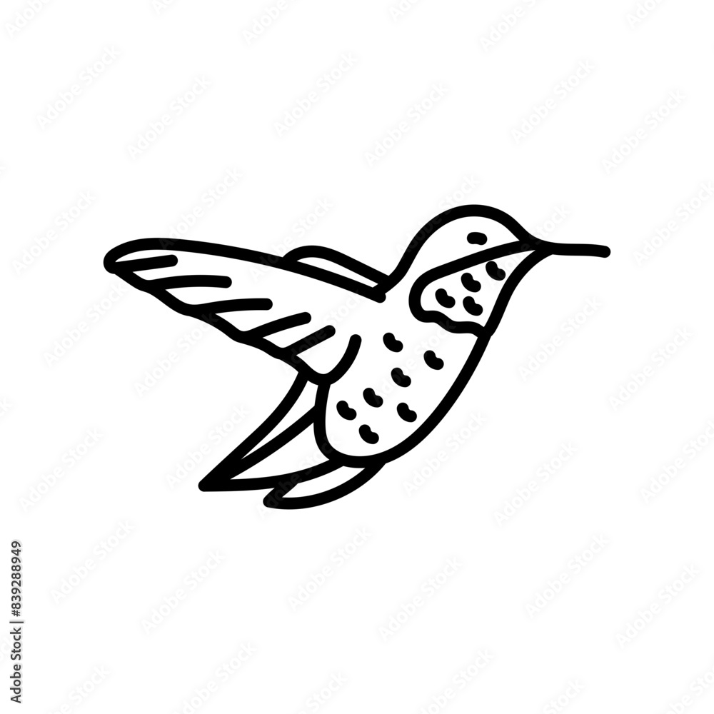 Hummingbird Outline Icon, Vector illustration Hummingbird Outline Icon, Vector illustration