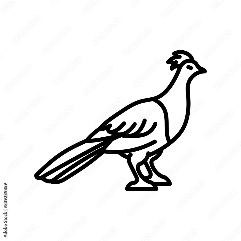 Fototapeta premium Pheasant Outline Icon, Vector illustration