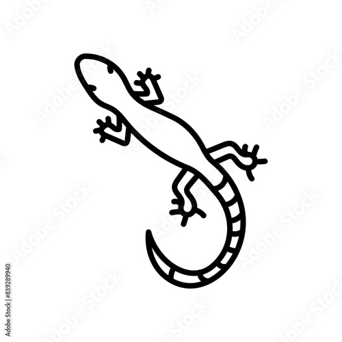 Gecko Outline Icon, Vector illustration