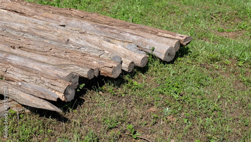 Wood logs