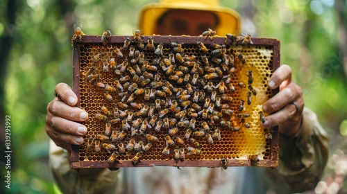 The Beekeeper and Honeycomb photo
