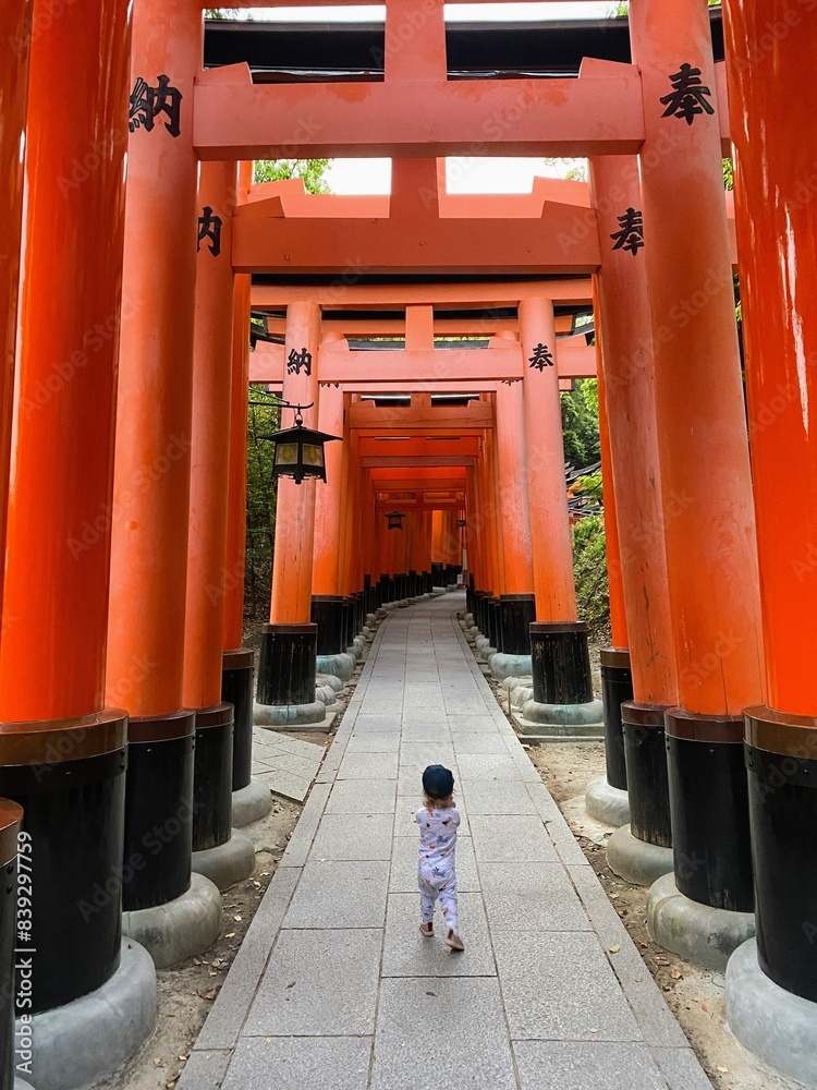 A toddler walking through the Tori gates of the Fushimi Inari Shrine in Tokyo, Japan. A toddler walking through the Tori gates of the Fushimi Inari Shrine in Tokyo, Japan.