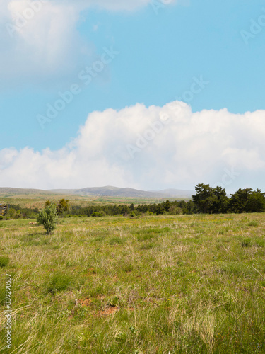 Green meadow  aerial view of beautiful landscape and mountain peaks after green tree line in the background. Warm sunny summer day with blue sky and clouds. Springtime countryside background image. 