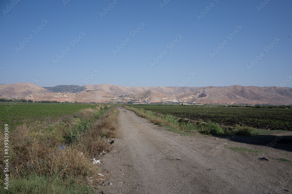 Fototapeta premium Tents of Syrian refugees in the Beqaa Valley in Lebanon