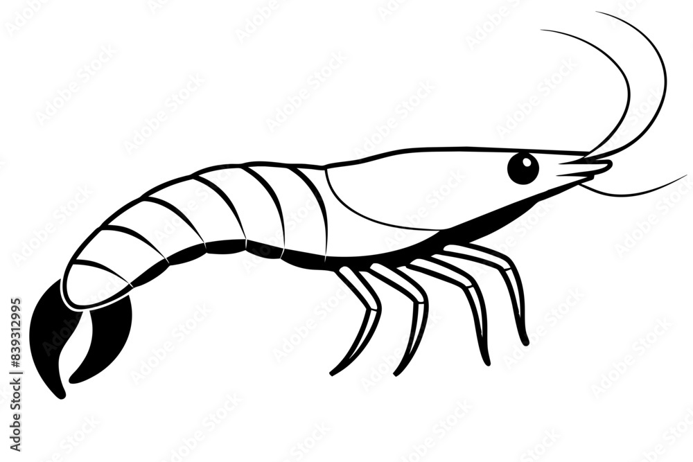 shrimp line art silhouette vector illustration shrimp line art silhouette vector illustration