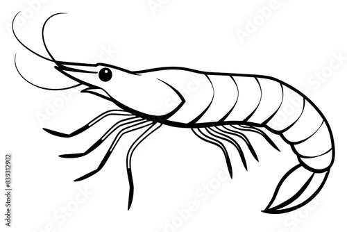 shrimp line art silhouette vector illustration