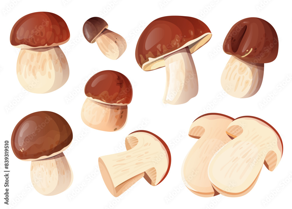 Set of porcini mushrooms, whole and sliced. Set of porcini mushrooms, whole and sliced.