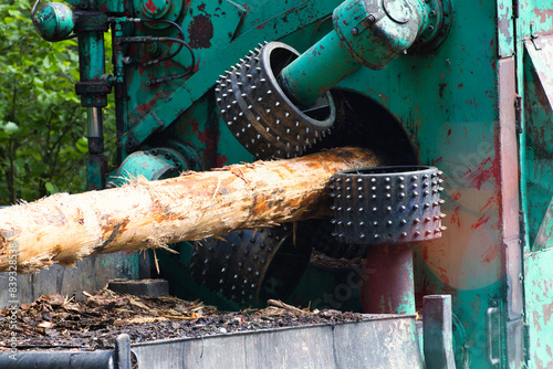 Foto Holzstämme entrinden (schälen) - Debarking (peeling) logs