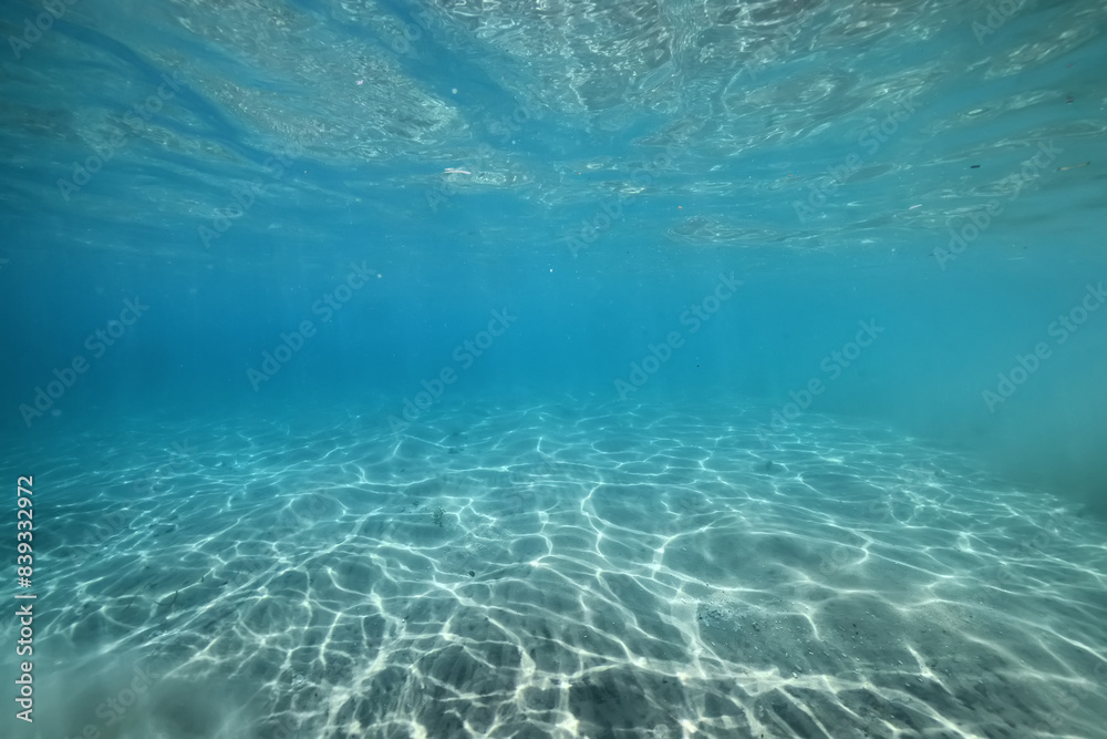 Fototapeta premium underwater photo blue background panorama ocean surface and bottom of the sea