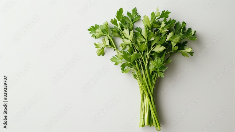 Mitsuba (Japanese wild parsley) bunch neatly arranged on a pristine white surface Mitsuba (Japanese wild parsley) bunch neatly arranged on a pristine white surface