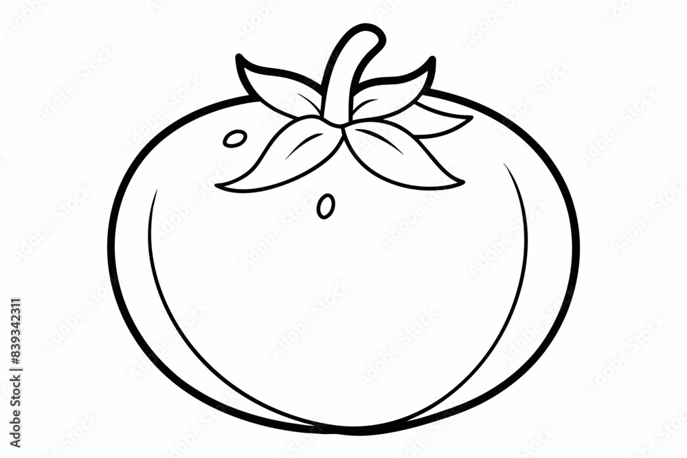 tomato fruit line art silhouette vector illustration tomato fruit line art silhouette vector illustration