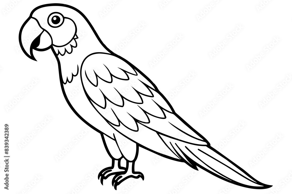 macaw bird line art silhouette vector illustration macaw bird line art silhouette vector illustration