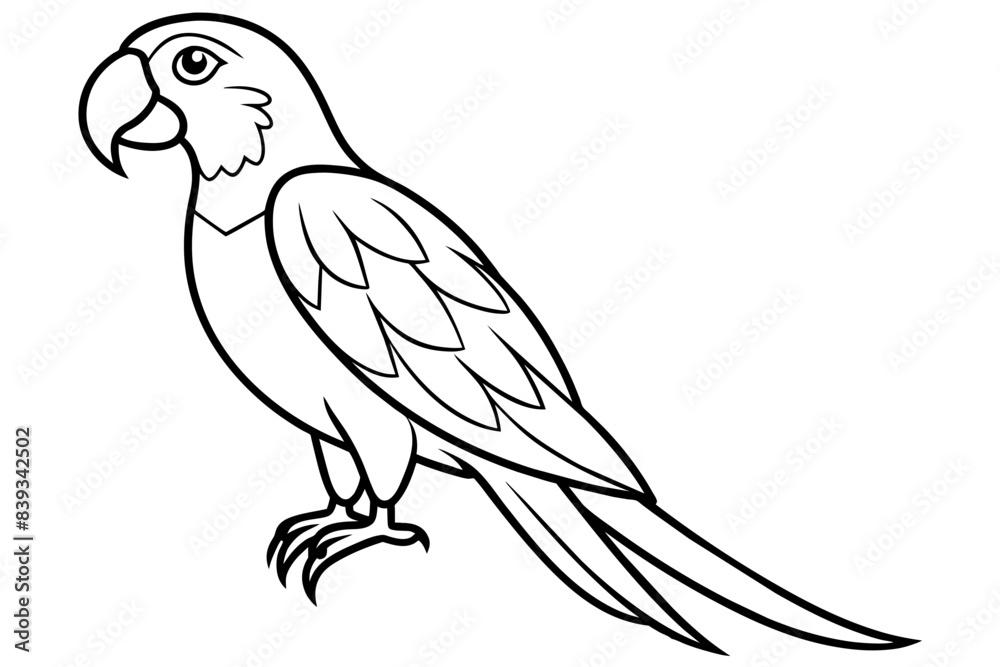 macaw bird line art silhouette vector illustration macaw bird line art silhouette vector illustration
