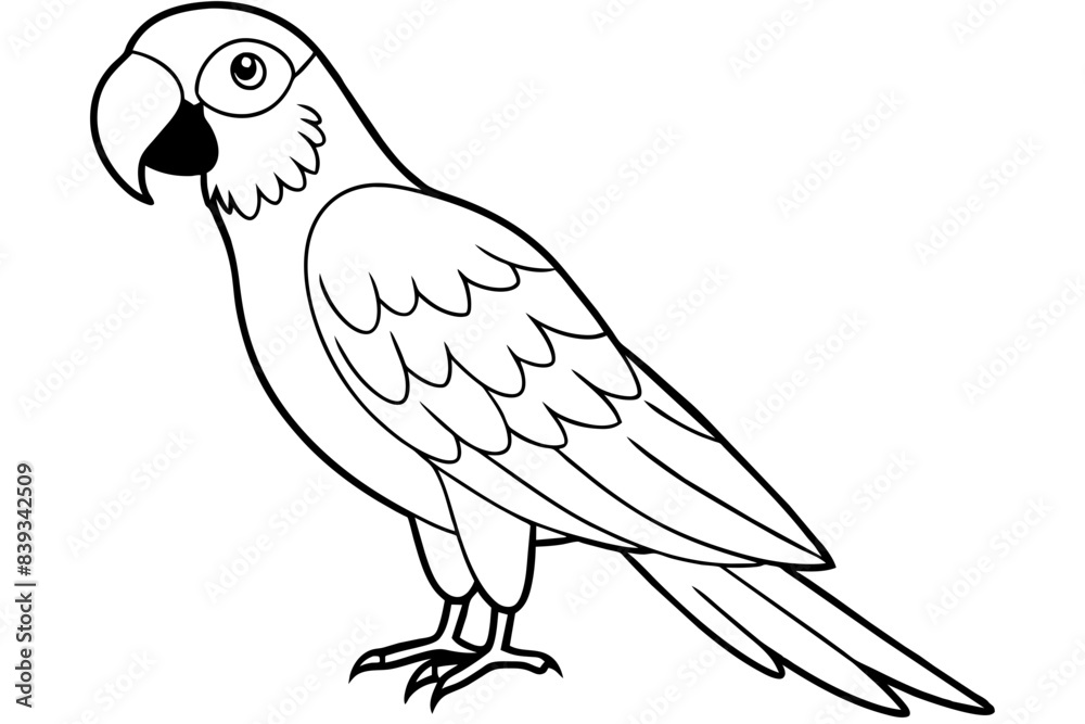 macaw bird line art silhouette vector illustration macaw bird line art silhouette vector illustration