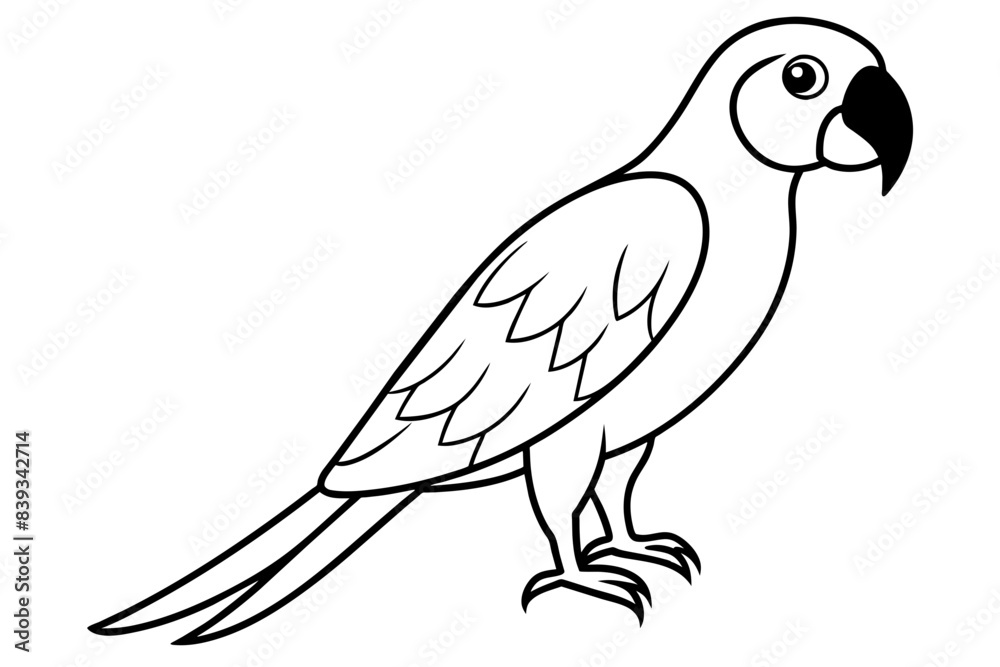 macaw bird line art silhouette vector illustration macaw bird line art silhouette vector illustration