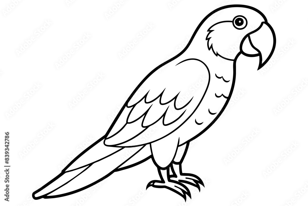 macaw bird line art silhouette vector illustration macaw bird line art silhouette vector illustration