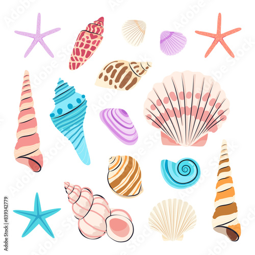 Set of Seashells vector illustration.Variety of seashells isolated on white background.