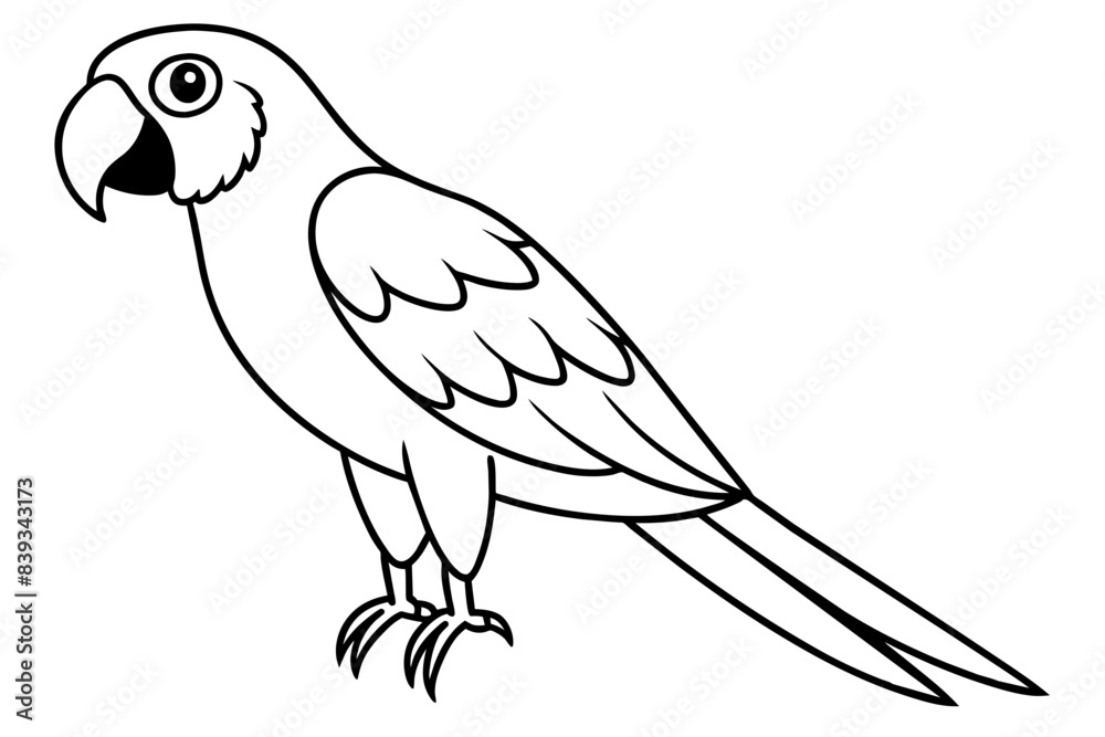 macaw bird line art silhouette vector illustration macaw bird line art silhouette vector illustration