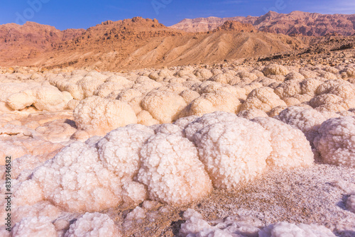 Dead Sea Salt. Jordan Landscape
