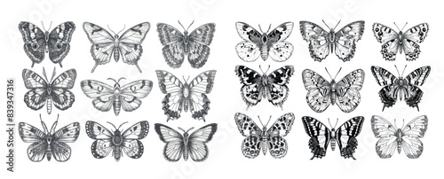 A set of butterfly illustrations in a vintage style. Outlined sketches of flying insects.