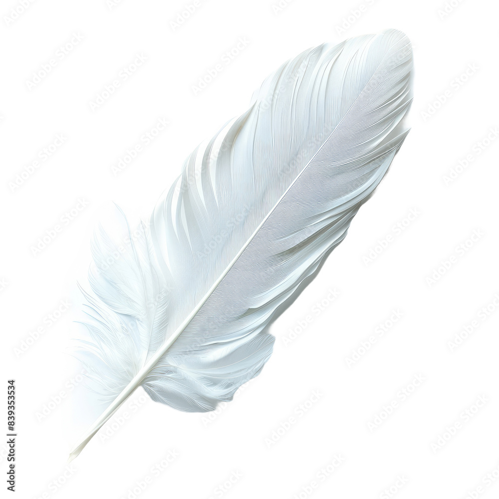 white feather isolated on white background white feather isolated on white background