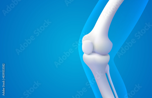 Knee joint, X-ray of the leg, 3D visualization. Vector illustration