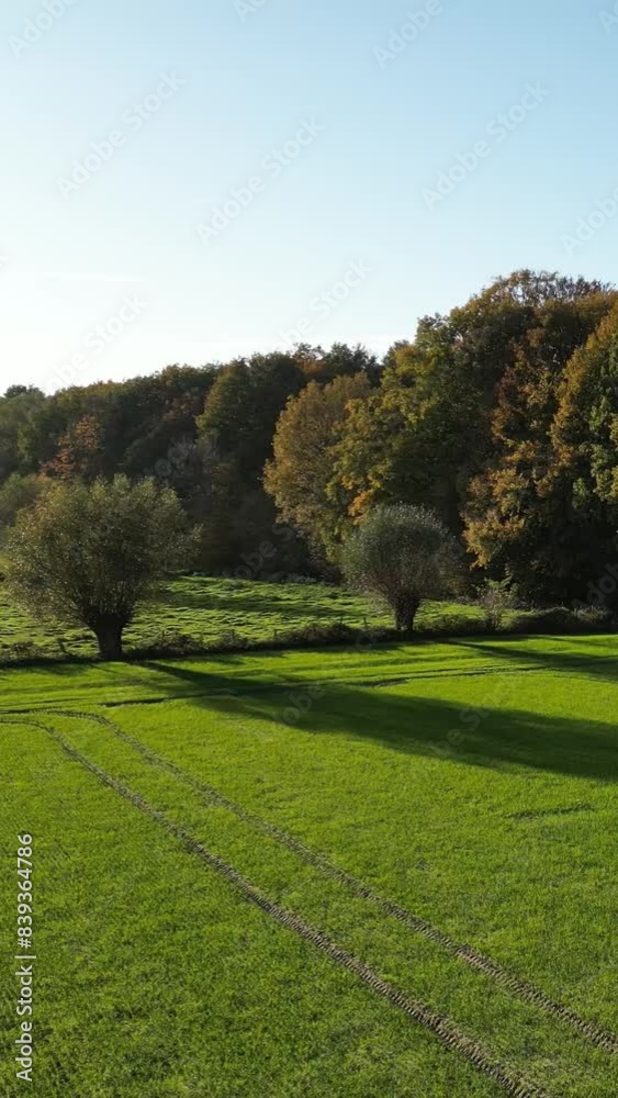 Panning Left over field on edge of forest aerial drone footage Panning Left over field on edge of forest aerial drone footage