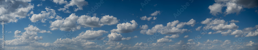 A wide panorama showing only clouds in a summer daytime sky with many scattered white clouds. The view starts just above the horizon.
A wide panorama showing only clouds in a summer daytime sky with many scattered white clouds. The view starts just above the horizon.