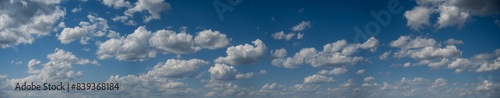 A wide panorama showing only clouds in a summer daytime sky with many scattered white clouds. The view starts just above the horizon.
