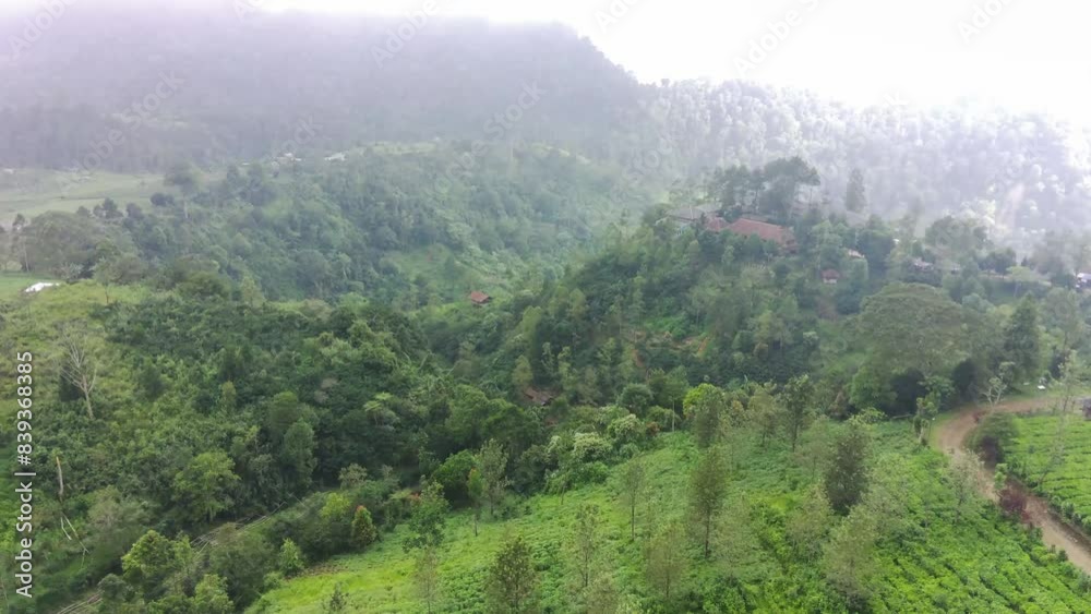 morning in the mountains morning in the mountains