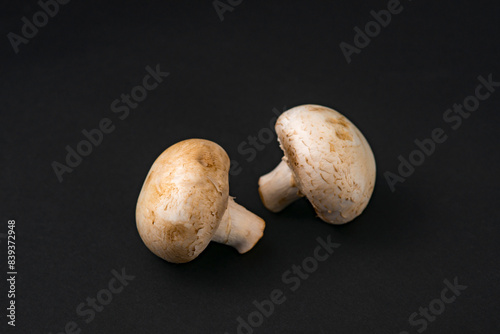 fresh champignons mushrooms on black background