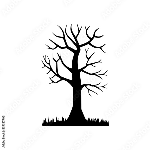 a withered dead tree that has dried up