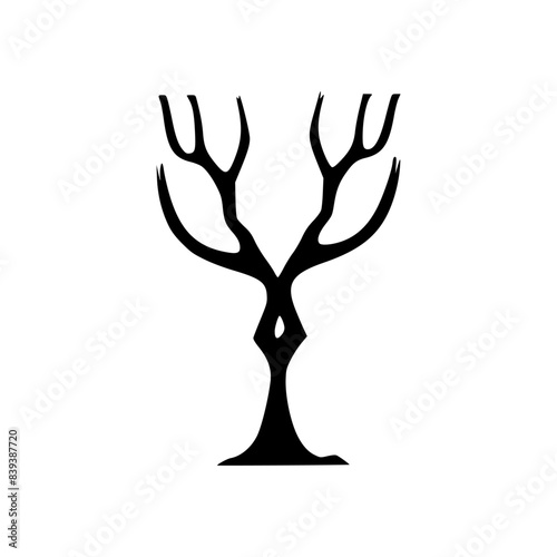 a dry dead tree that has dried up