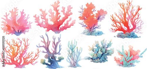 reef coral clipart vector for graphic resources	

