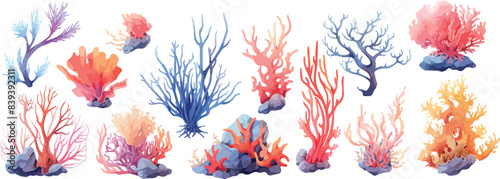 reef coral clipart vector for graphic resources	
