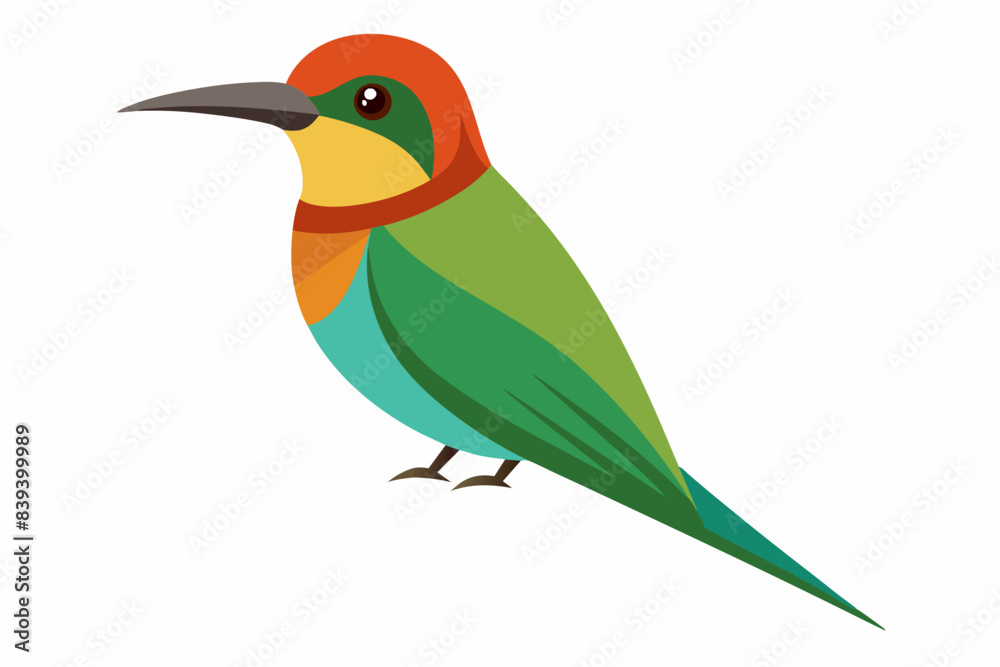 bee eater bird vector illustration bee eater bird vector illustration