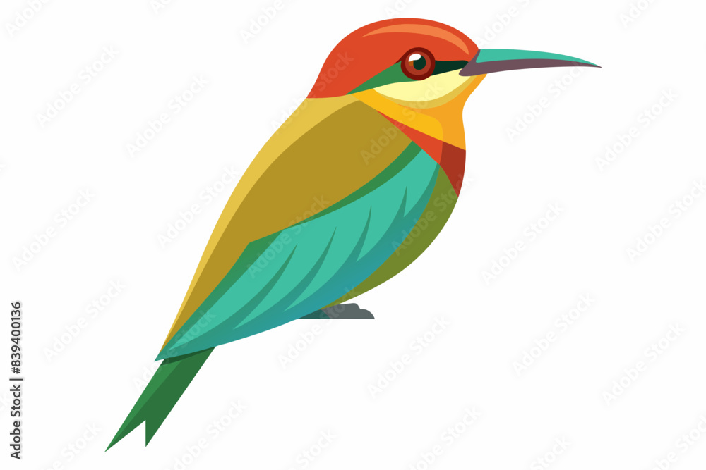 bee eater bird vector illustration bee eater bird vector illustration